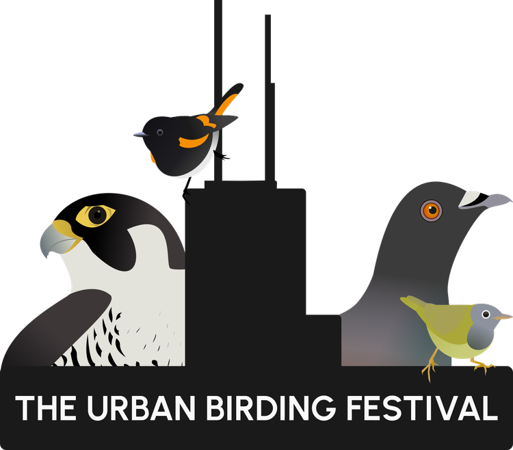 Spring Bird Count and Chicago's Bird Festival